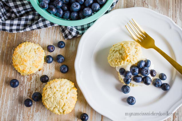 Blueberry Shortcake Recipe - the perfect summer dessert! My Name is Snickerdoodle