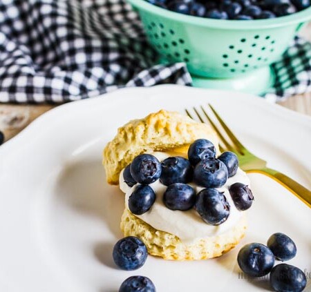 Blueberry Shortcake Recipe - the perfect summer dessert! My Name is Snickerdoodle