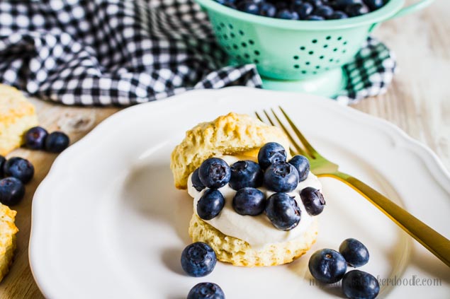 Blueberry Shortcake Recipe - the perfect summer dessert! My Name is Snickerdoodle