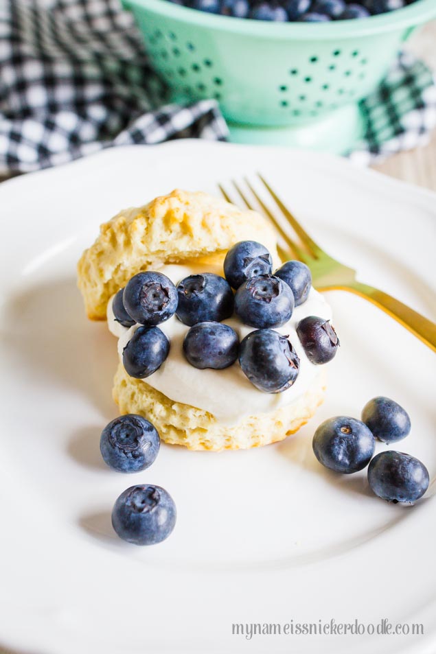 Blueberry Shortcake Recipe - the perfect summer dessert! from My Name is Snickerdoodle