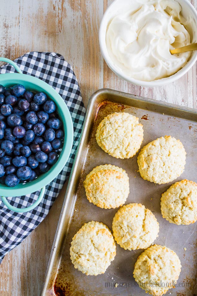 Blueberry Shortcake Recipe - the perfect summer dessert! from My Name is Snickerdoodle