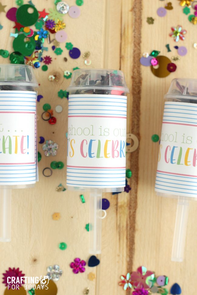 Confetti Party Poppers that are perfect for when school gets out! from CraftingE via thirtyhandmadedays.com