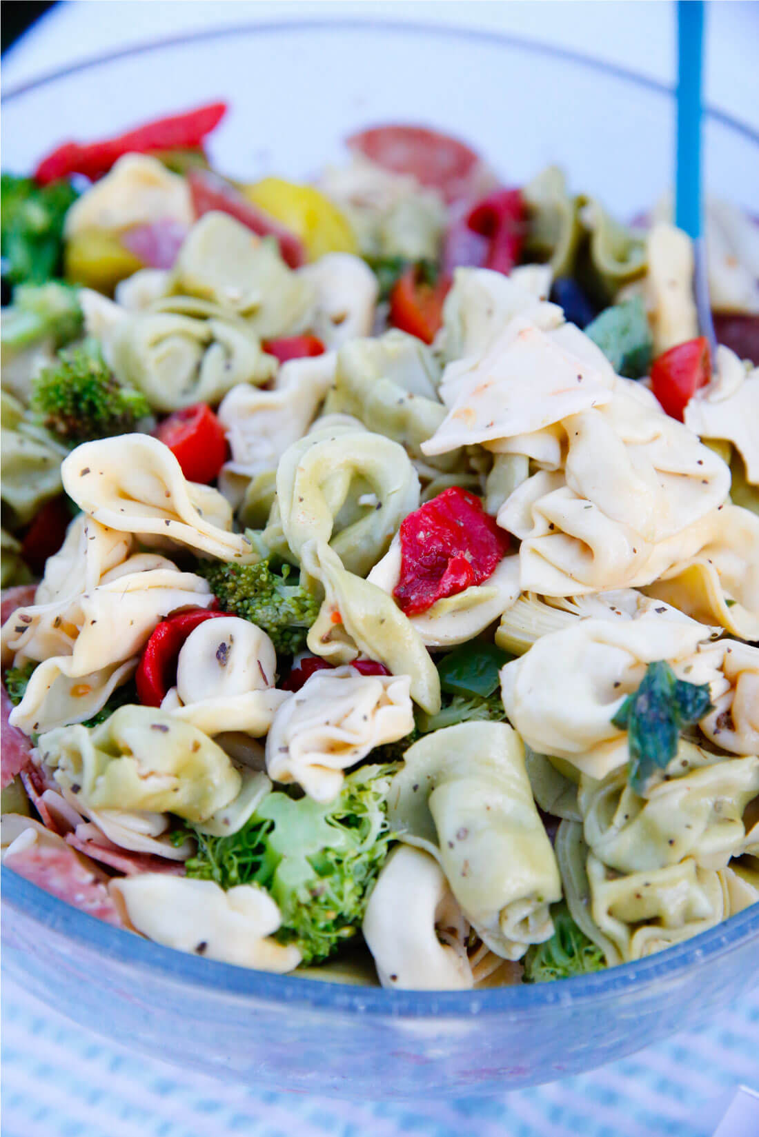 Italian Tortellini Salad for a summer party - so delicious! from www.thirtyhandmadedays.com