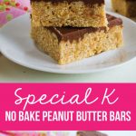 Special K Bars - no bake bars - a family favorite via www.thirtyhandmadedays.com