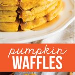 Pumpkin Waffles - this waffle recipe is so good and perfect breakfast for the fall! via thirtyhandmadedays.com