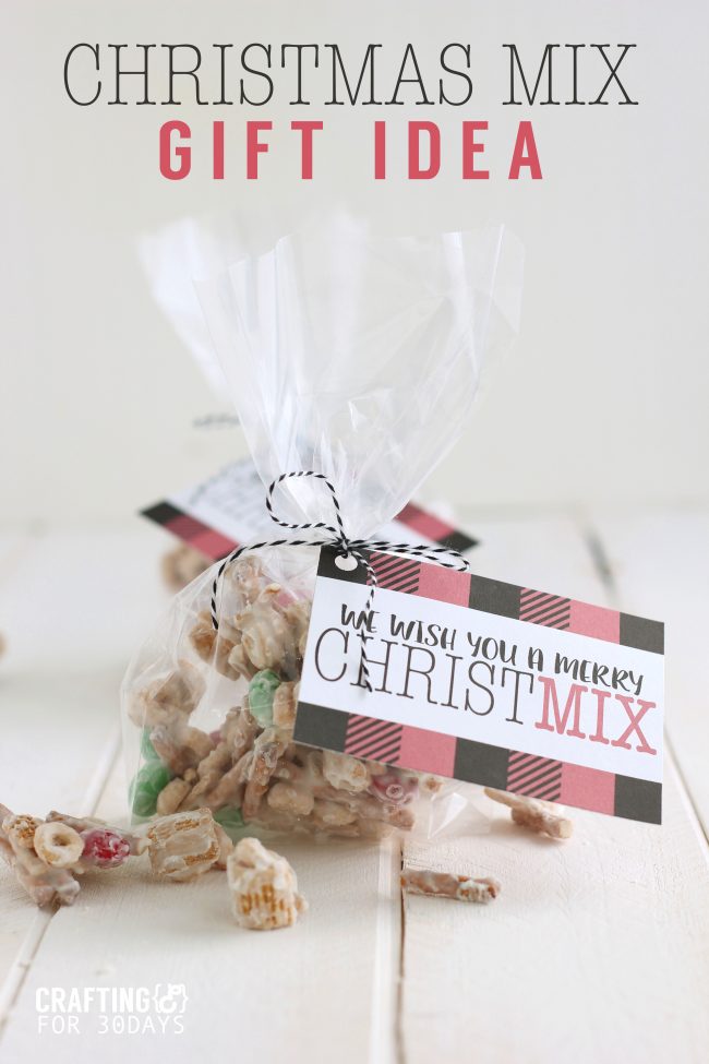 Want to make your friends and neighbors feel special but not brake the bank? Make these cheap Christmas gifts and deliver to them! Christmas Mix with printable tags via www.thirtyhandmadedays.com