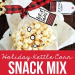 Holiday Kettle Corn Snack Mix - make this treat for friends and neighbors for Christmas! www.thirtyhandmadedays.com