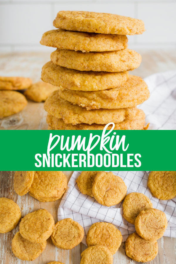 With this recipe you can expect that same great snickerdoodle base, just stepped up a notch with pumpkin.  They will sink into your mouth and scream fall!  