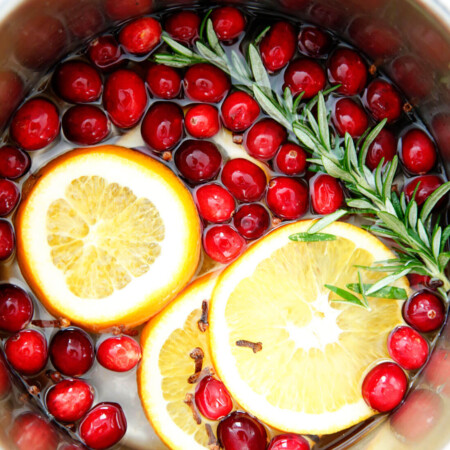 Stovetop Christmas Potpourri - make this and your house will smell AMAZING! It's like Christmas in a pot. Mmmmmmmm. via www.thirtyhandmadedays.com