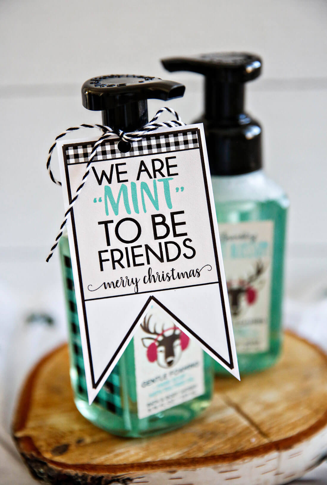 We're "mint to be friends" Christmas tags - download these cute printable tags via www.thirtyhandmadedays.com