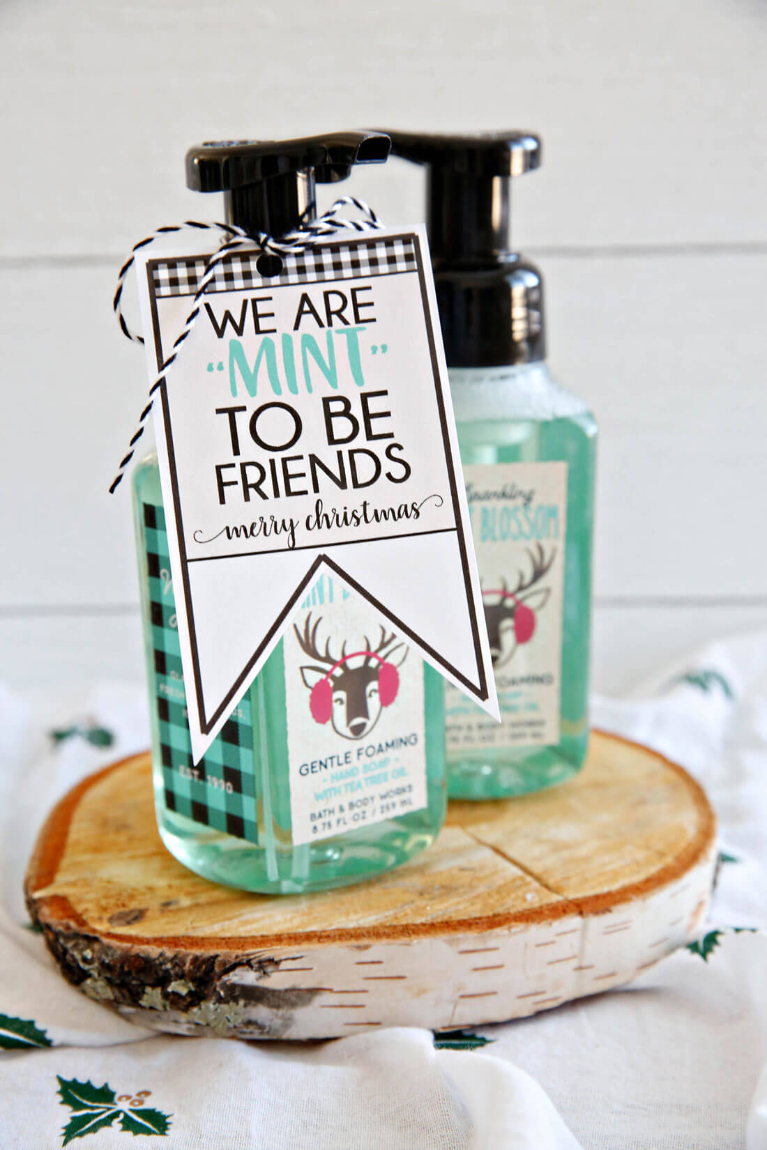 We're "mint to be friends" Christmas tags - download these cute printable tags from www.thirtyhandmadedays.com