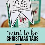 We're "mint to be friends" Christmas tags - download these cute printable tags via www.thirtyhandmadedays.com