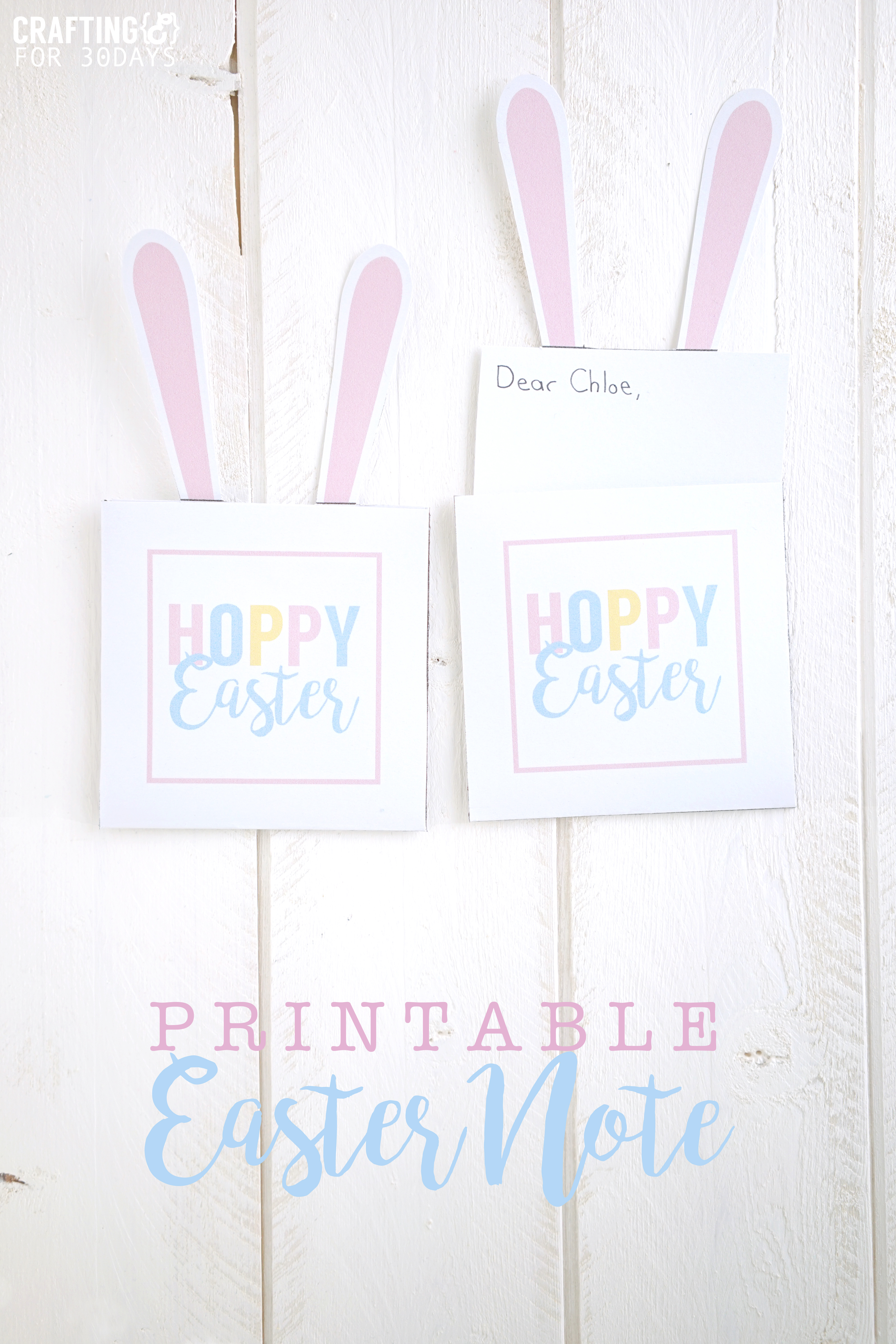 Printable Easter Bunny Note - use these for the holiday! via www.thirtyhandmadedays.com
