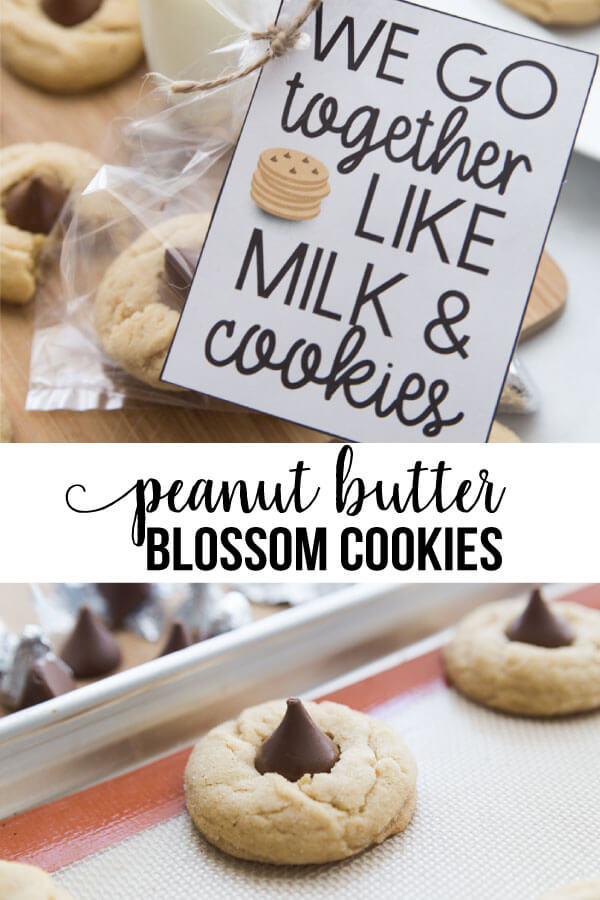 Peanut Butter Blossoms Cookies - the easiest cookie recipe and oh so good!