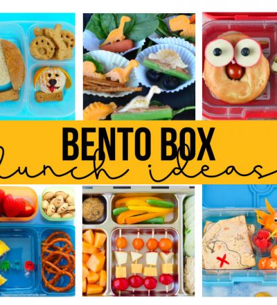 Bento Box Lunch Ideas