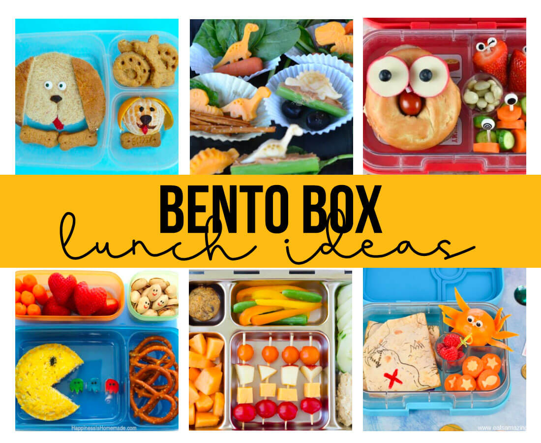Bento Box Lunch Ideas - a whole bunch of ideas to make lunch fun and delicious!