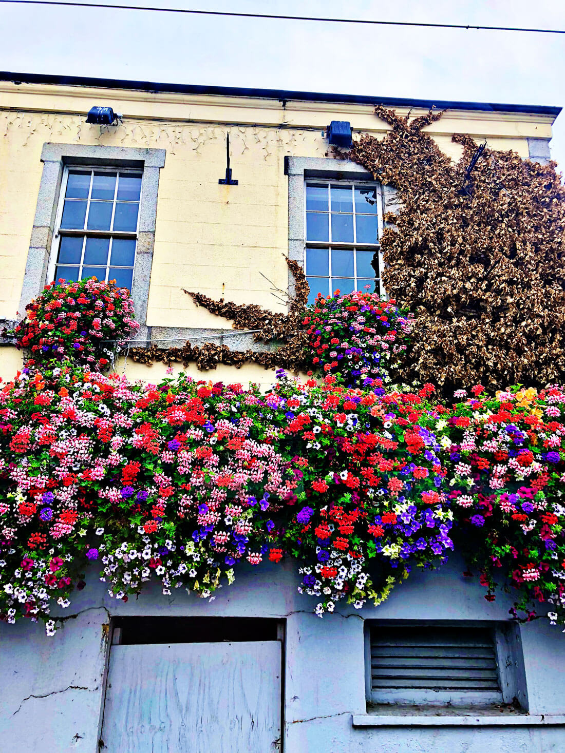 British Isles - the flowers were unreal!