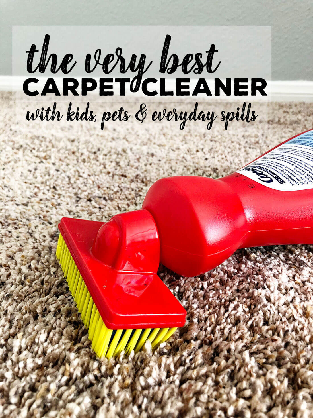 the very best carpet cleaner to use with kids, pets and for every day