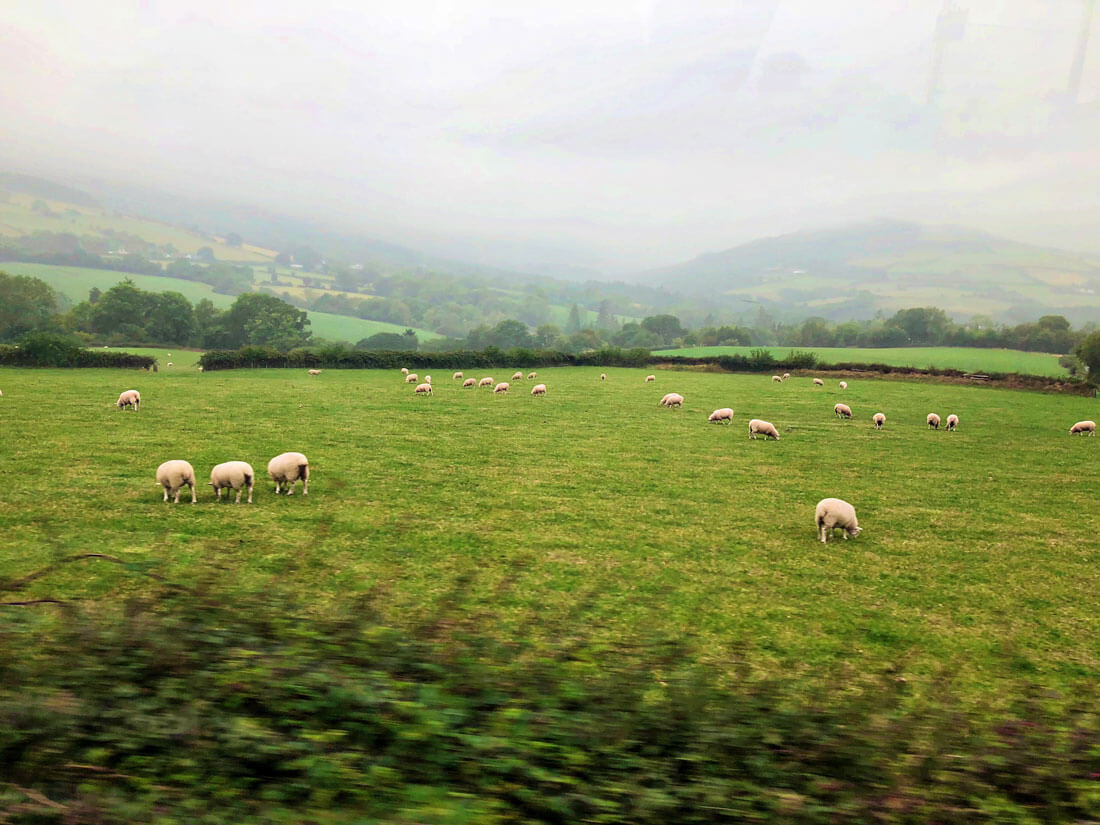 The countryside of Ireland 