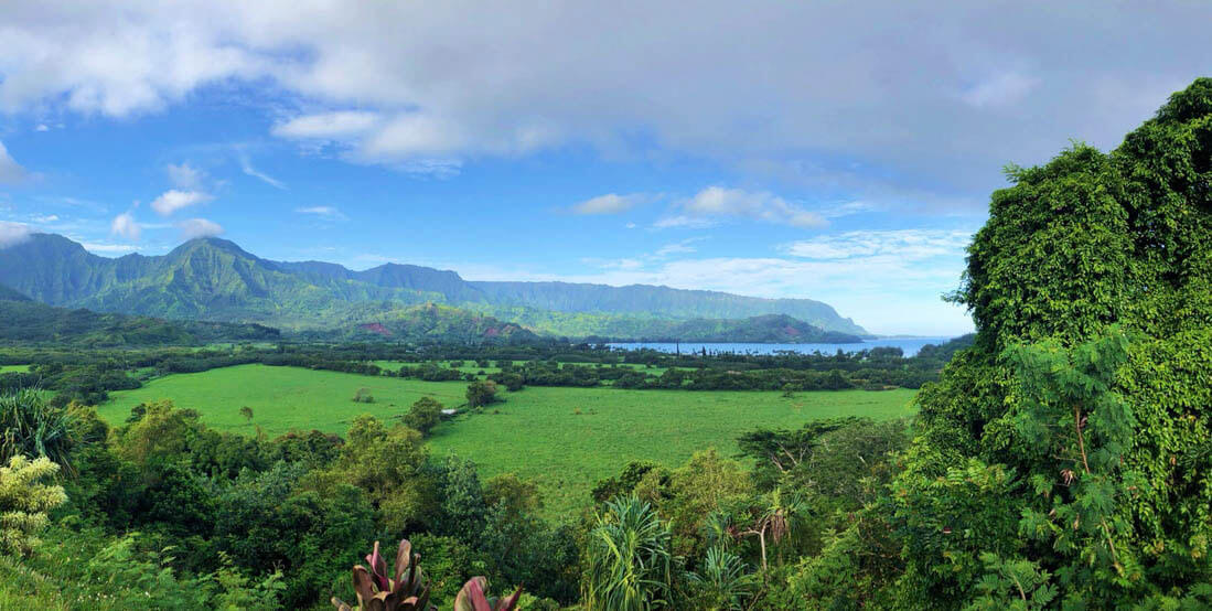 Overlooking Hanalei Bay