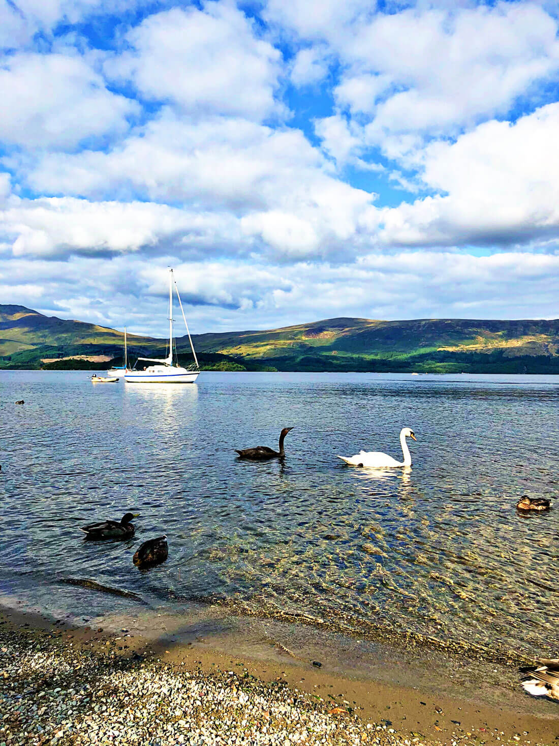 Things to do in Scotland - Loch Lommond