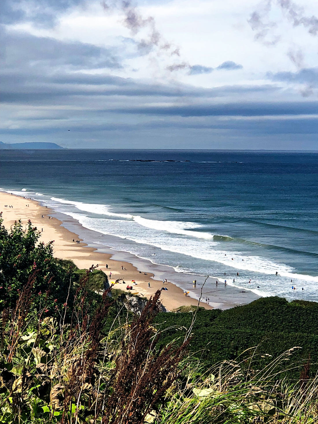  Along the drive to the Antrim Coast