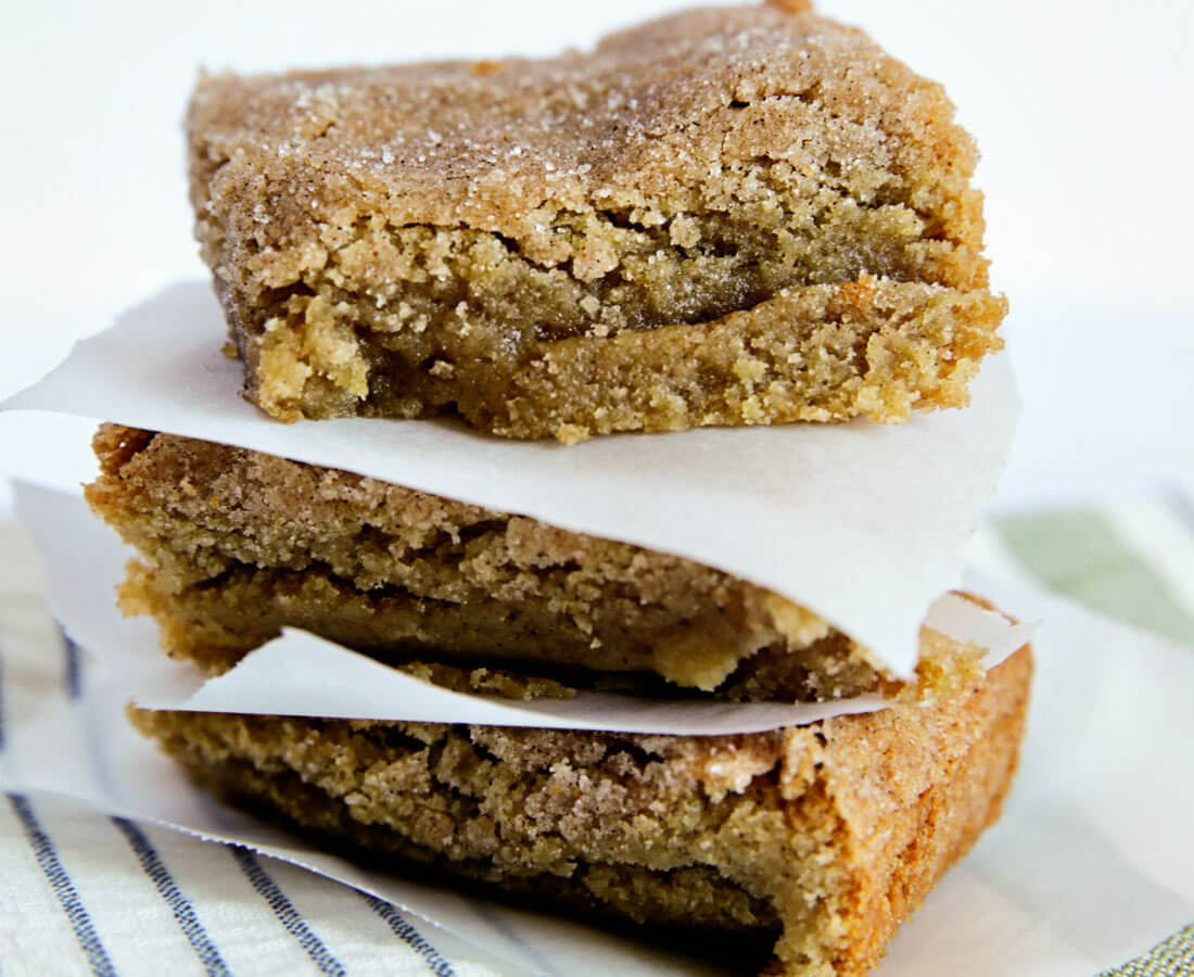 Snickerdoodle Blondies - easy to make treat with cinnamon and sugar! 