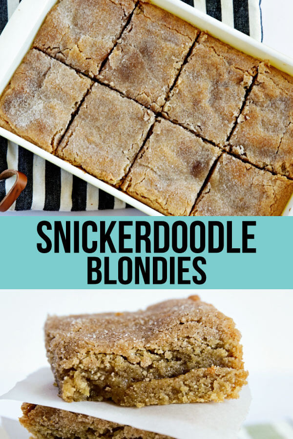 Snickerdoodle Blondies -full pan, easy to make treat with cinnamon and sugar! www.thirtyhandmadedays.com