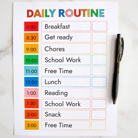 Daily Schedule Template