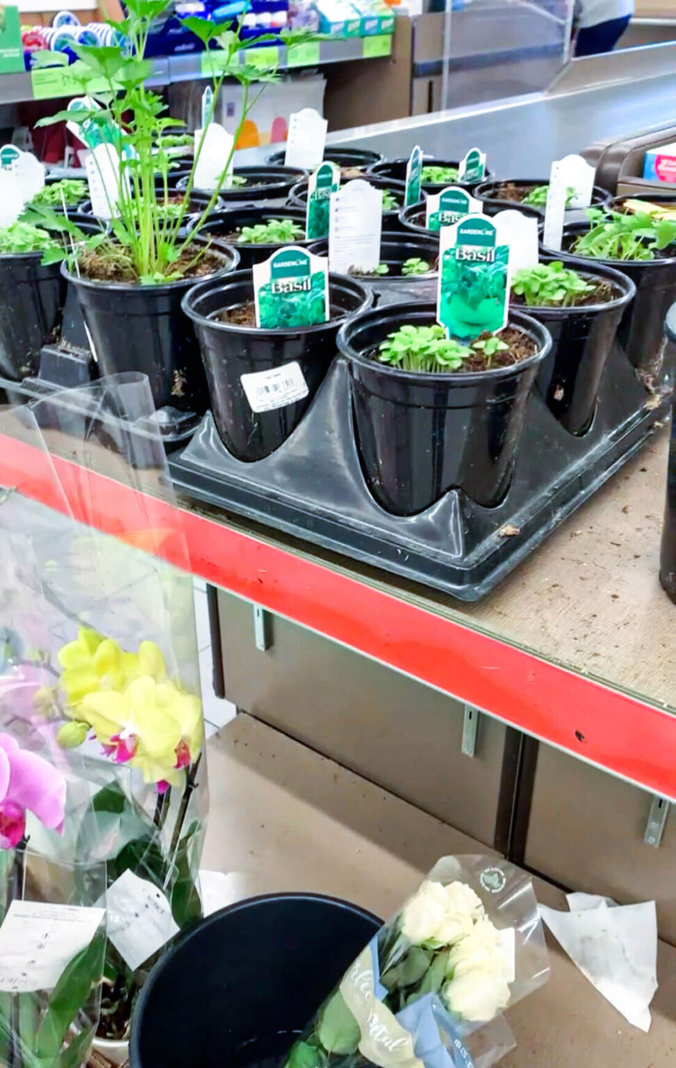 Best Aldi Products Ideas from Thirty Handmade Days