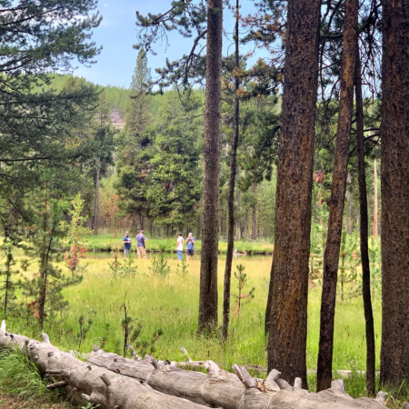 Spring in West Yellowstone