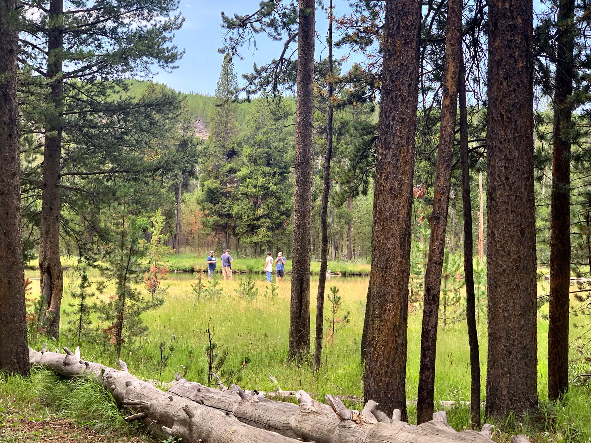 Spring in West Yellowstone