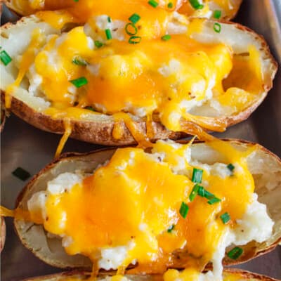 Baked Potato Appetizer Recipe